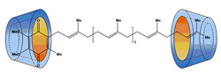 coenzyme