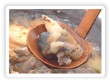 soft shell turtle soup