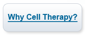 Why cell therapy is helpful as an anti-aging treatment
